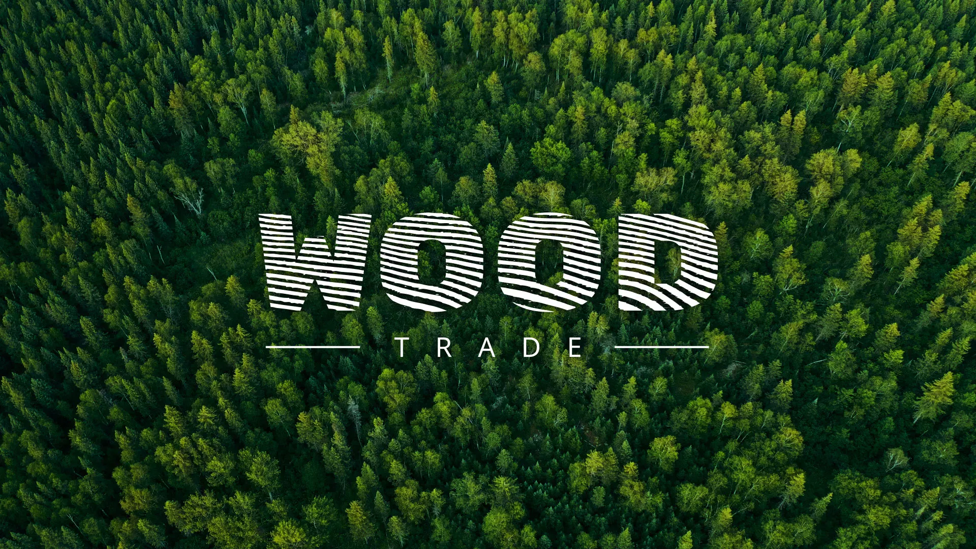 Разработка интернет-магазина компании «Wood Trade» в Артёмовском