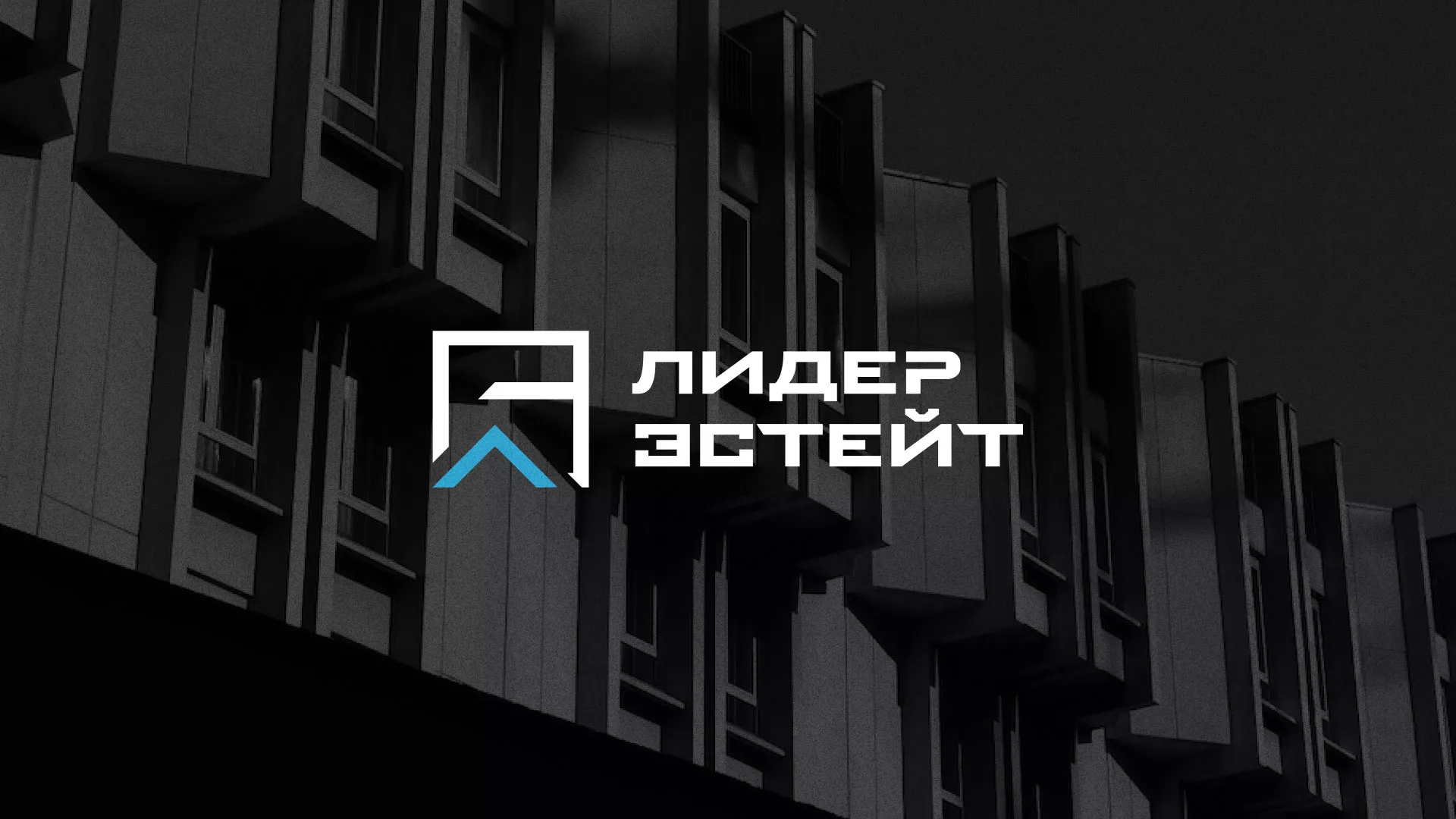 Разработка логотипа агентства недвижимости «Лидер Эстейт» в Артёмовском